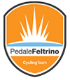 Pedale Feltrino